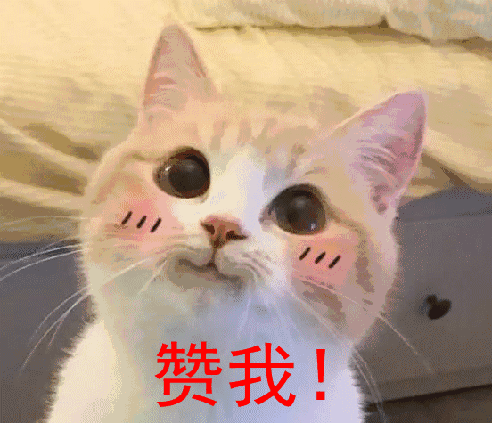 城市更新如何"去"与"留"?温江这些院落藏着答案