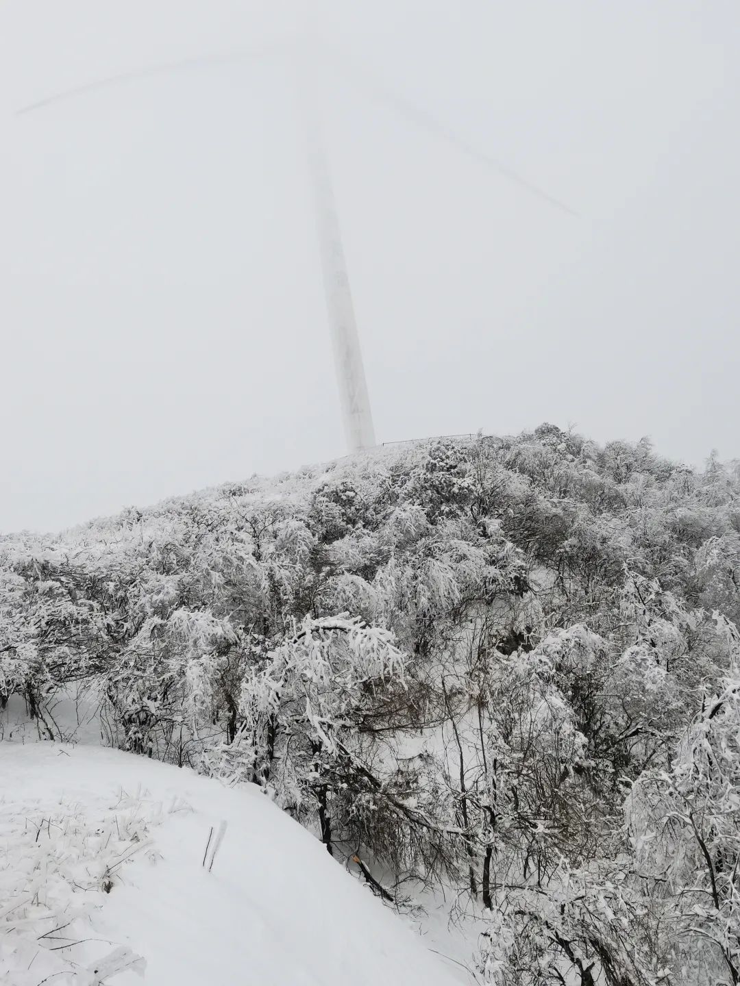 大熊山雪景图片