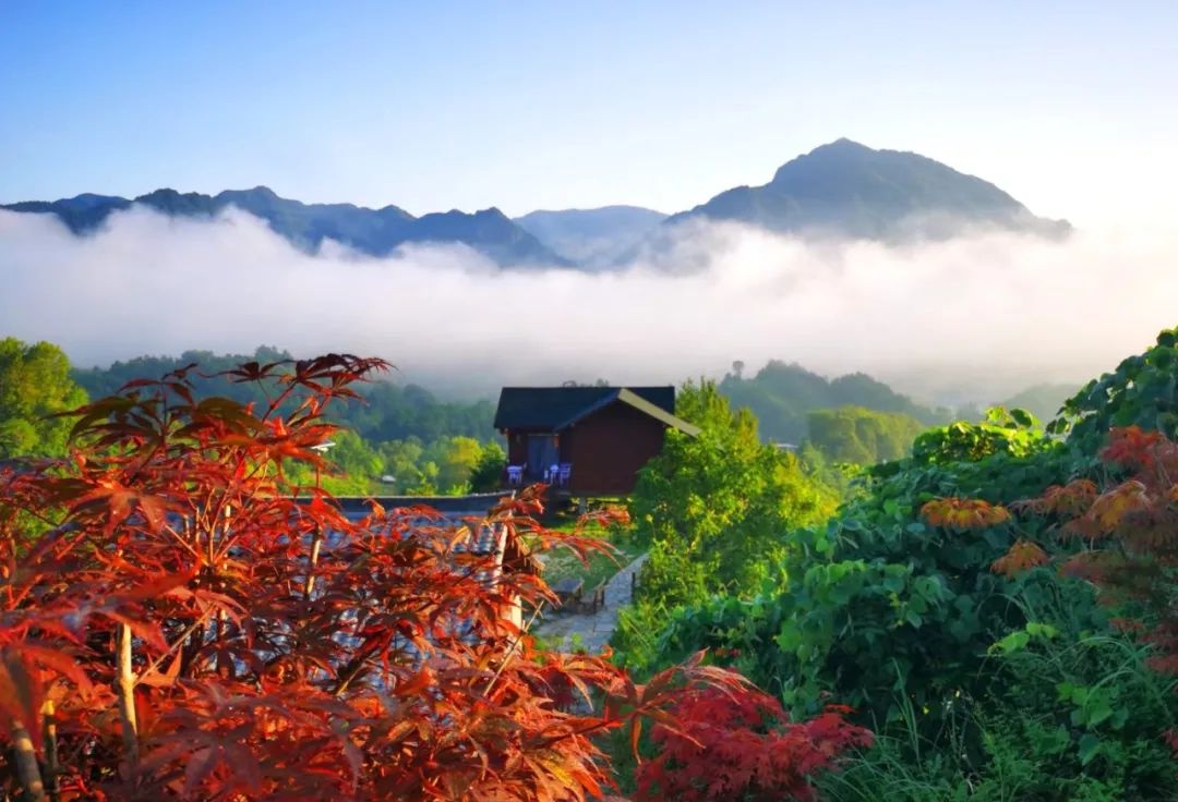 康县何家庄景区图片