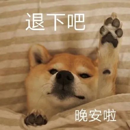 表情包|当你被迫合影是 退下吧 晚安啦