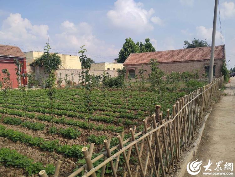 鱼台县唐马镇盘活闲置宅基地 以"四小园"点缀乡村振兴和美画卷