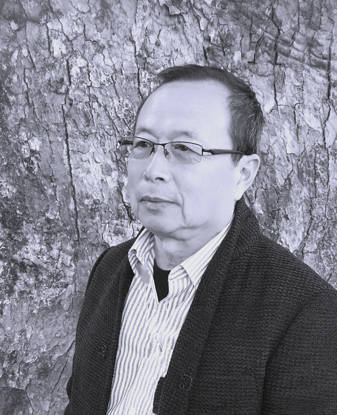 王豪书画作品展:传统魅力与现代视角的碰撞