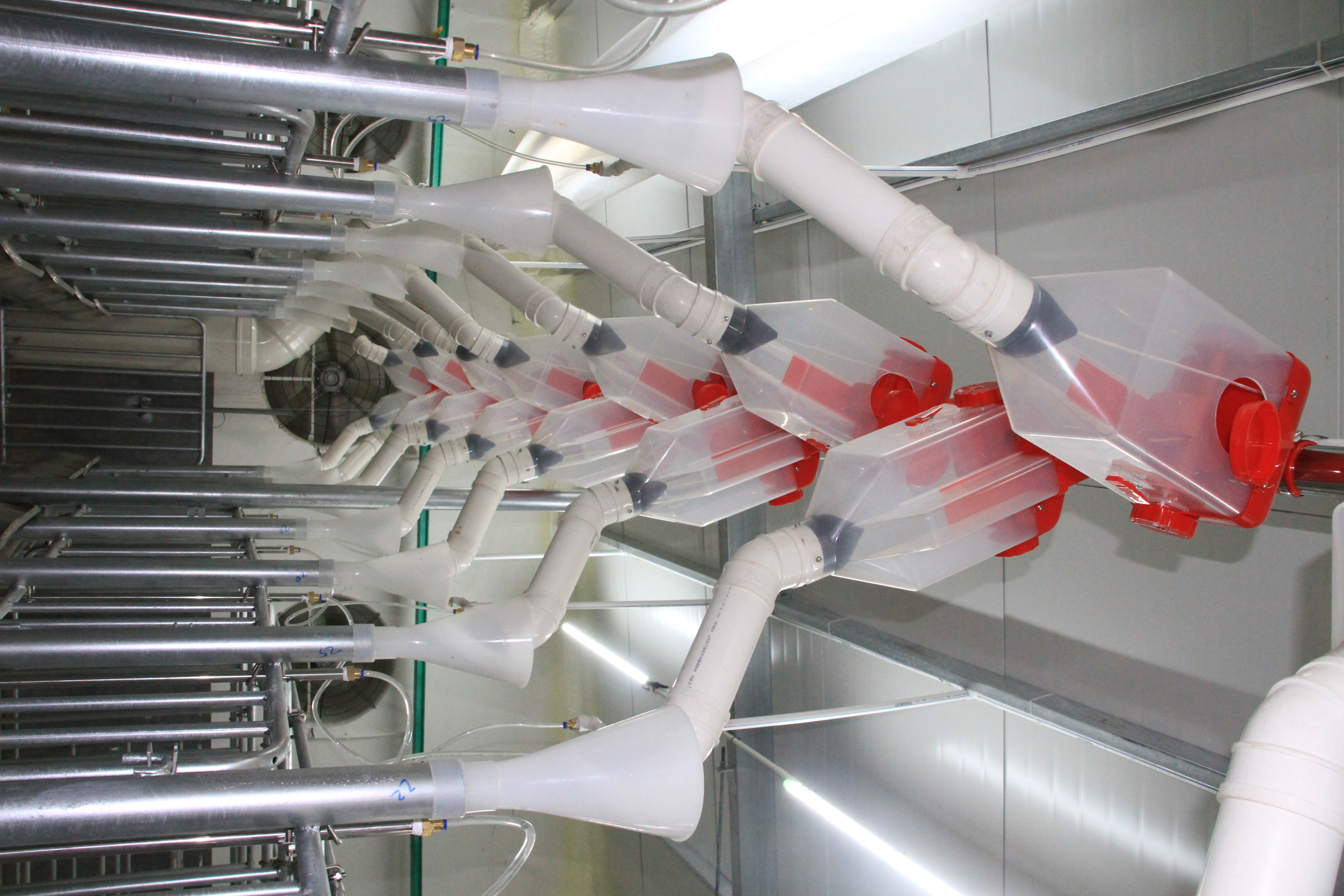 自动化料线工程,你了解多少?