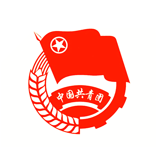 网售团徽100%不标准,影响共青团形象