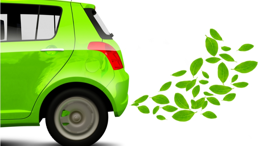 可再生柴油与宠物食品争抢原料毛孩子食品或缺货涨价