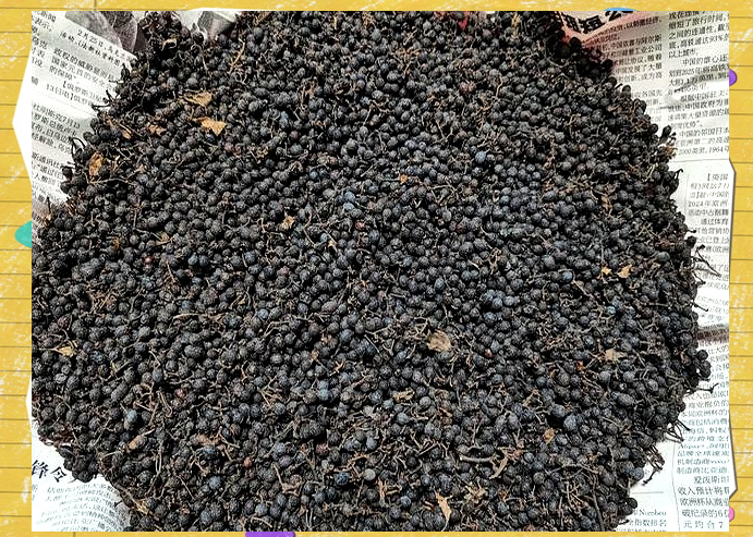 香叶籽的神奇疗效与城市经济贡献