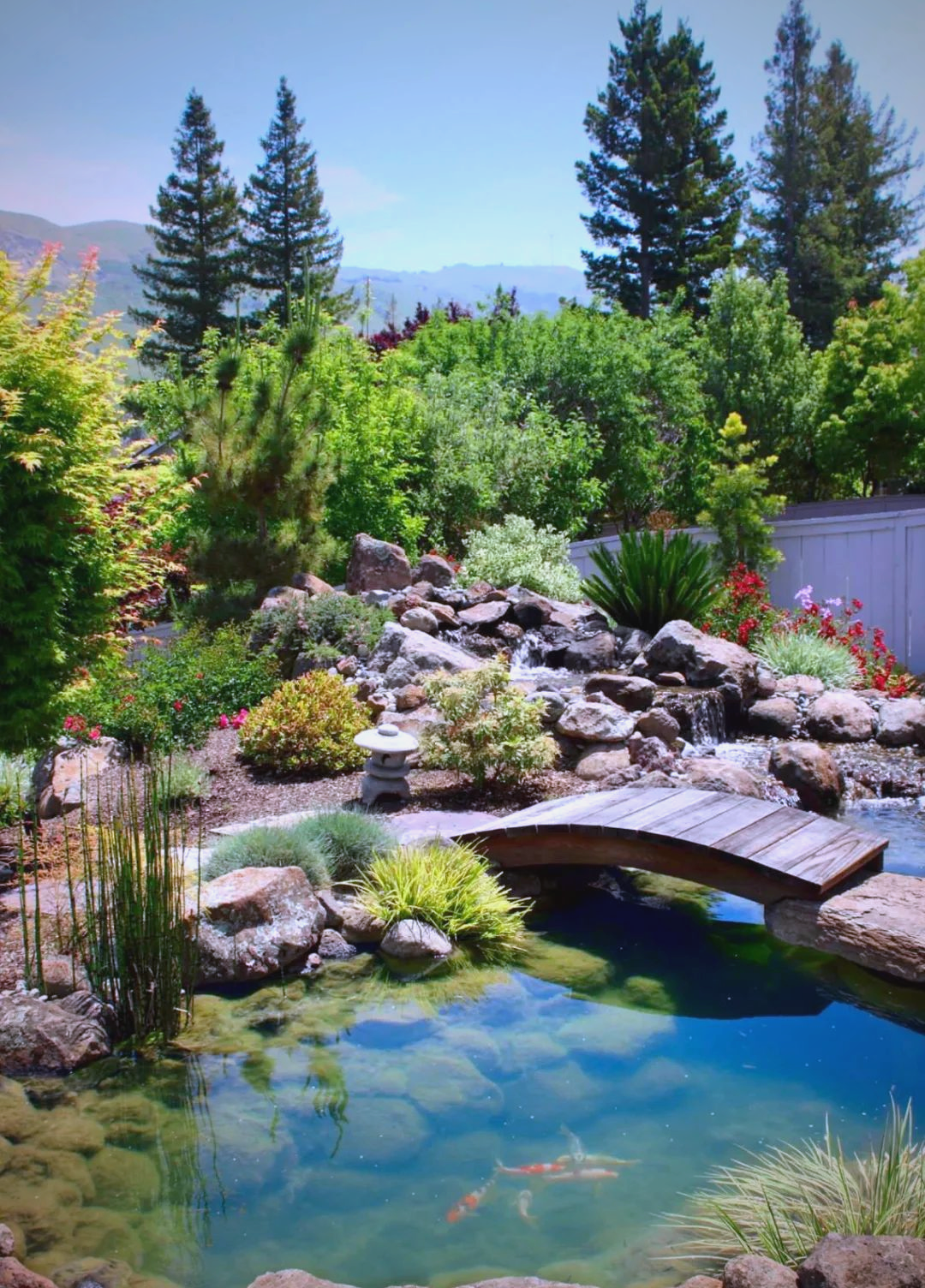 打造庭院鱼池的注意事项与技巧详解