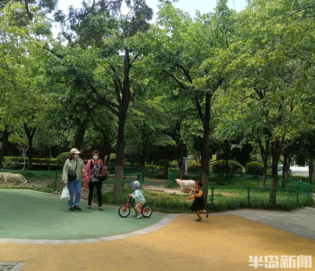 休闲,遛娃,健身……贮水山儿童公园其乐融融