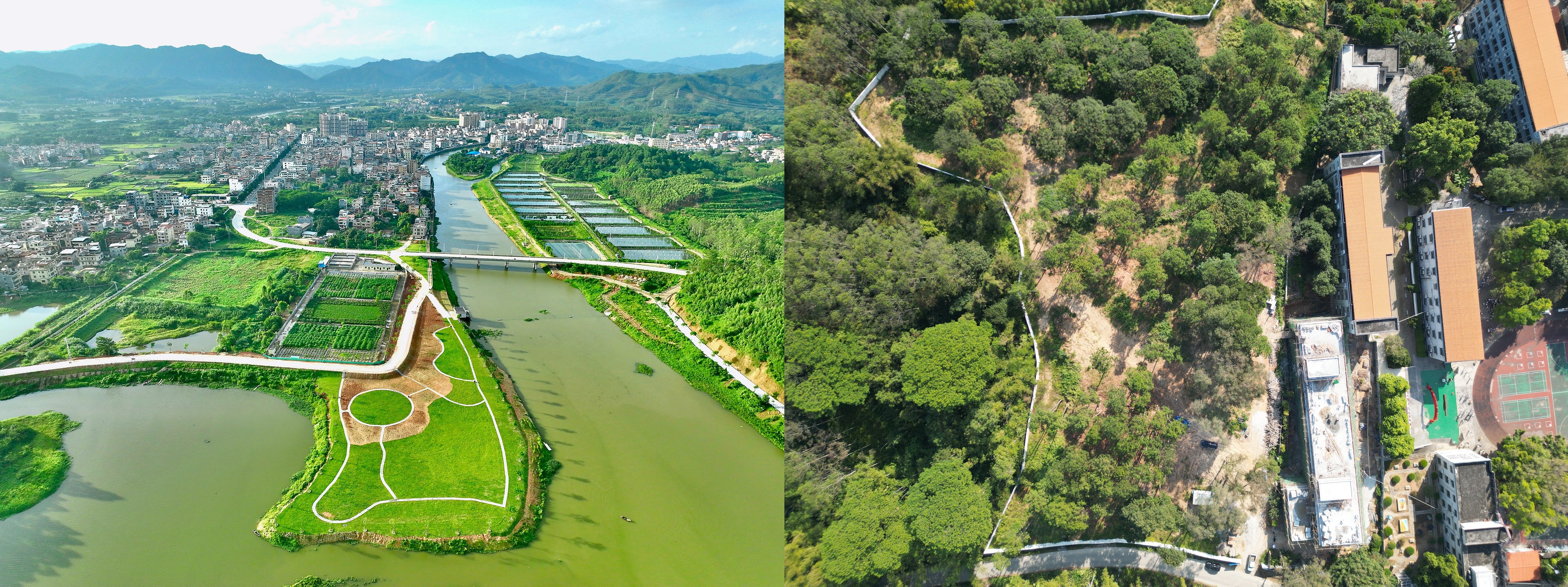 博罗横河:聚力"百千万工程",共绘发展新图景