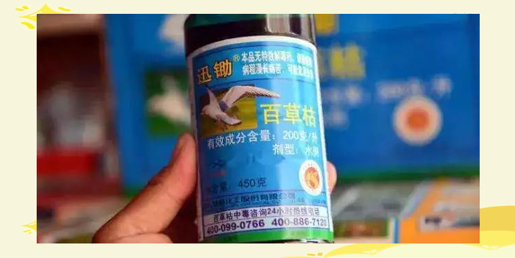 中国古玩　染付草花文水滴 中国古玩 染付草花文水滴 - メルカリ