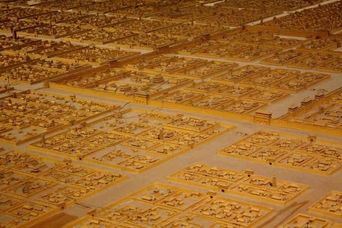 昆虫王国神奇秦岭等七个展厅主要展示5000余件标本模型包括矿物标本