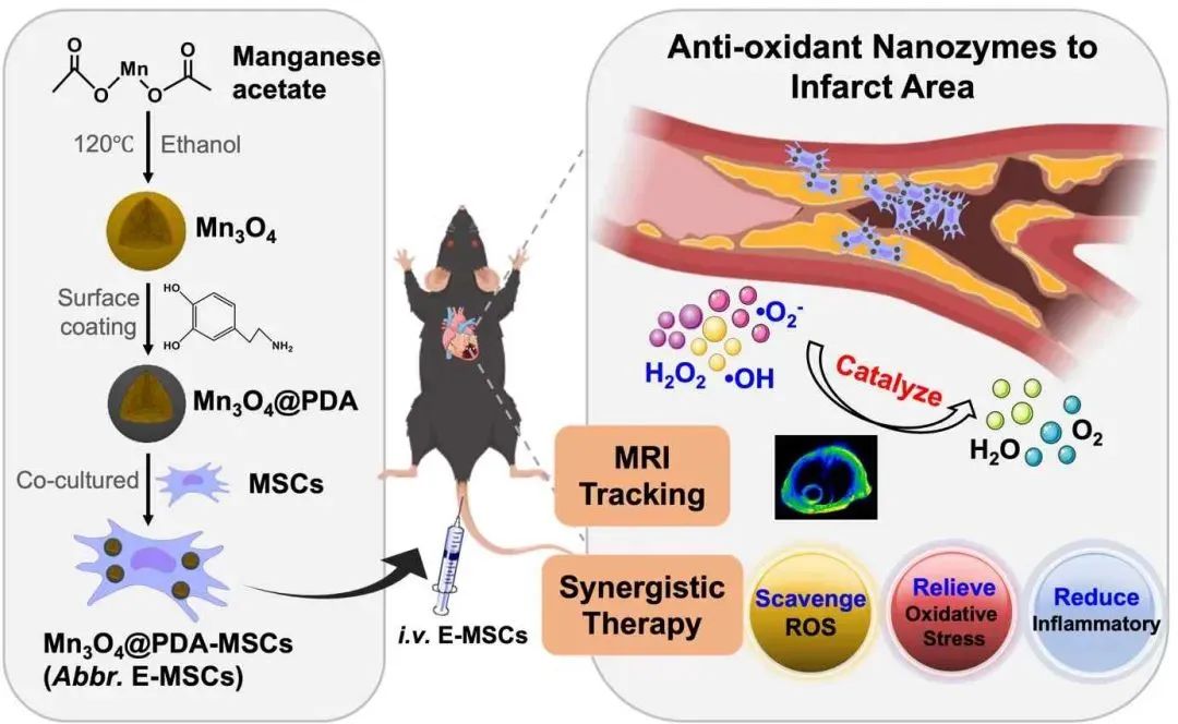 全球首个同济又有新突破