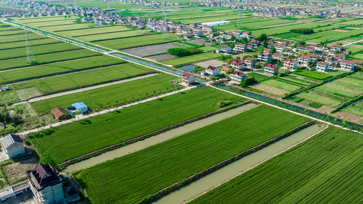 江苏启东东海镇:打造"升级版"高标准农田 绘出水美乡村"丰"景图