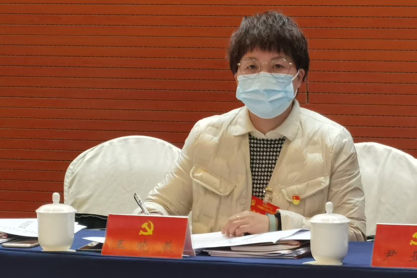 巾帼心向党奋进正当时县党代会宁海妇女代表有话说