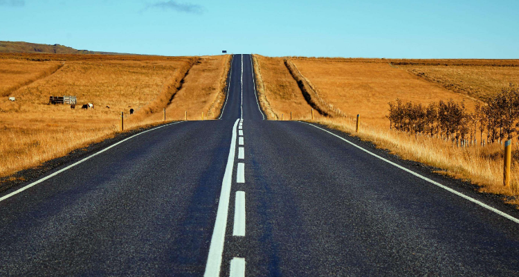 the right path意思