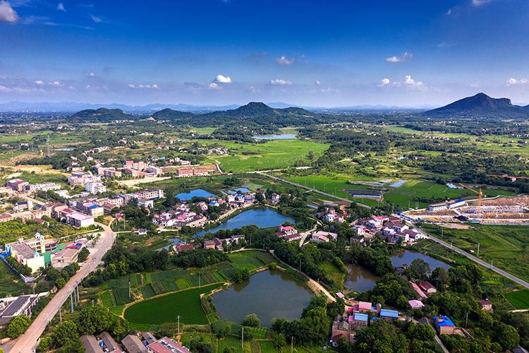 「合晚视频」"皖中小桂林"乐桥镇 物产丰饶田园如画