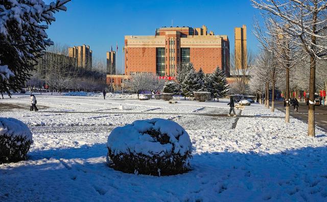 刘志超:辽大蒲河校区立冬的雪