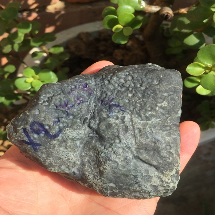 雪花- 热门商品专区