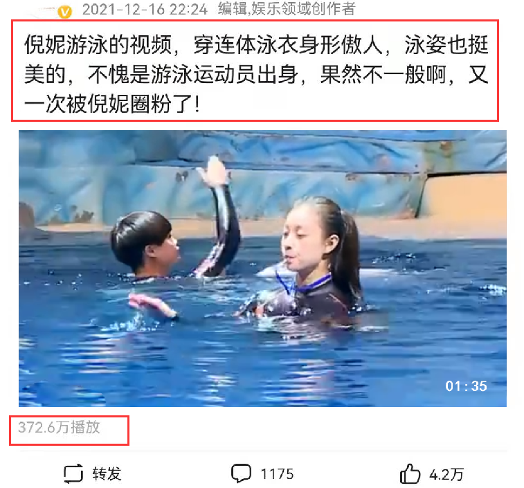 倪妮的身材游泳图片