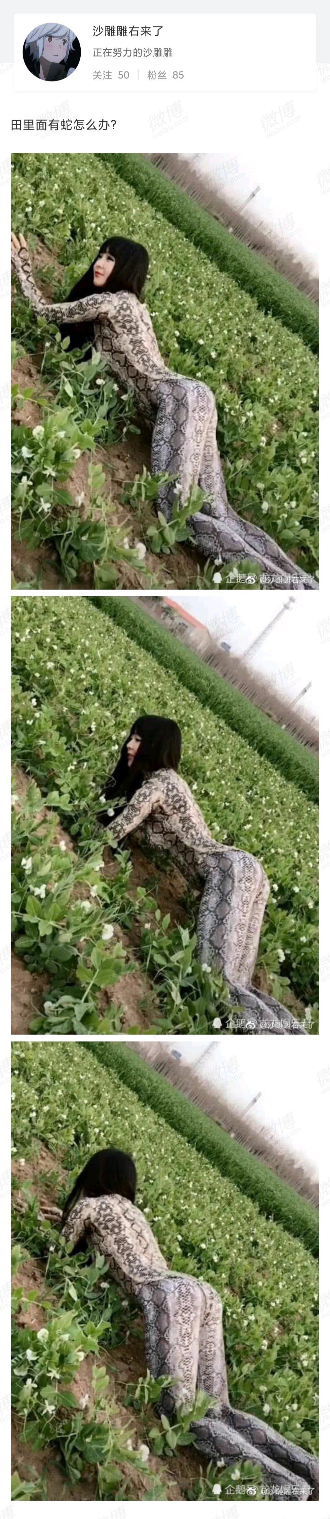 田里面有蛇怎么办?