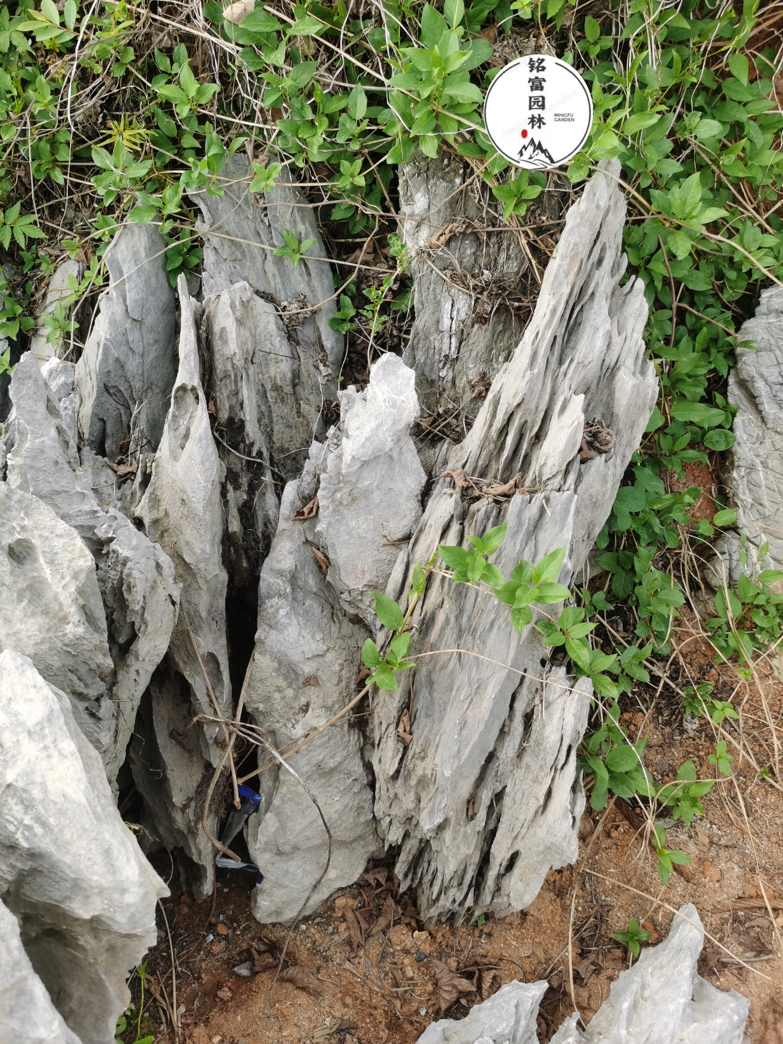 精品英石一条多少钱,英石一块多少钱,英德石原石图片