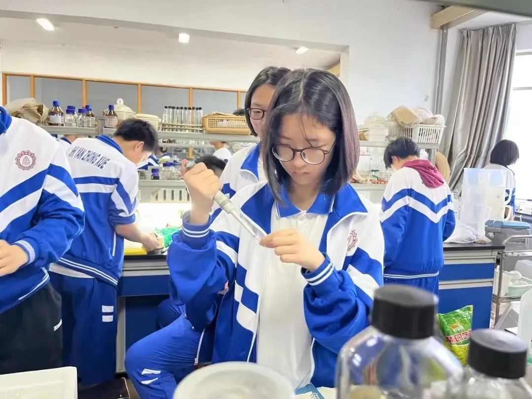 芙蓉花开满园春⑩|在长实,让有潜质的学生"拔节生长"