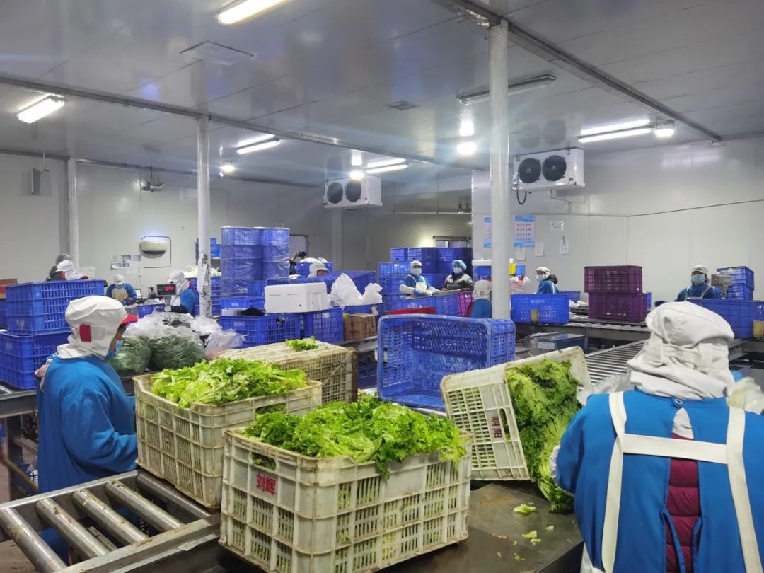 进口生鲜不敢买?记者探访京北"大仓库"——平谷马坊物流基地