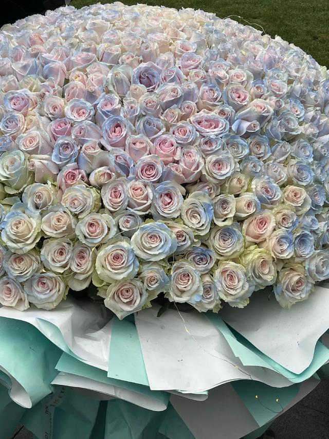 肖战花海背景图,小说都不敢这么写的!