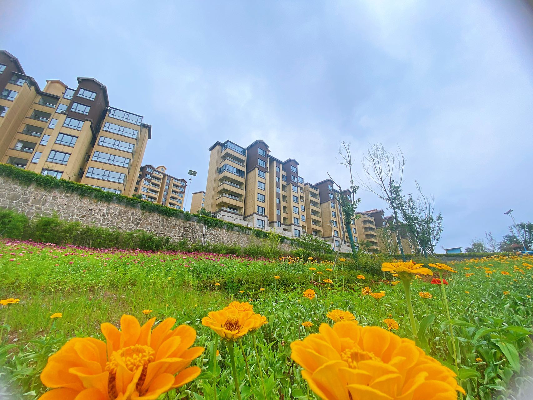 习水避暑房推荐@凤凰绿洲森林避暑洋房,山旺人丁水旺财风水极佳