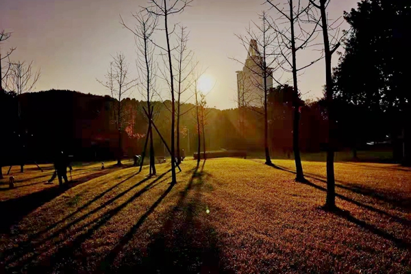 诗歌世界丨谭应林:看苍山万里 不变的是永远向上的初心