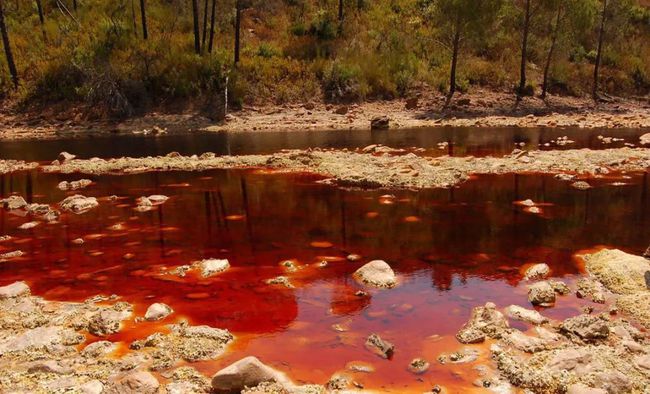 「科普」水中重金属超标的危害和严重性