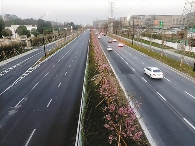 临丁路,东新路4月完工杭海路,沈半路5月建成