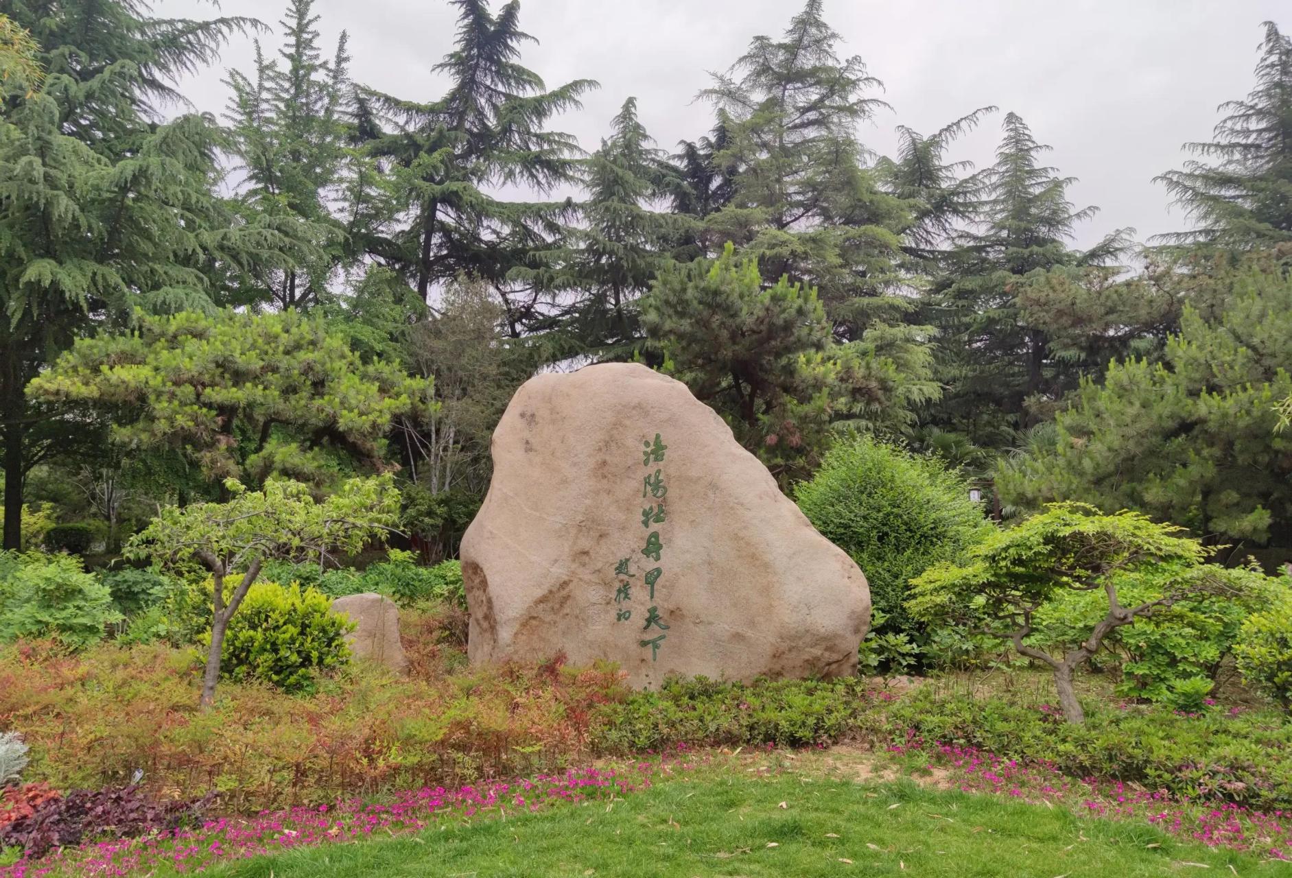 洛阳西苑公园改造现状,大面积绿地被水泥硬化,绿植面积减少了很多