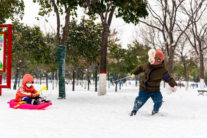 自制简易雪橇图片