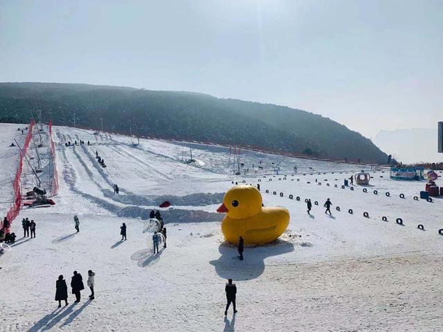 郑州 滑雪图片