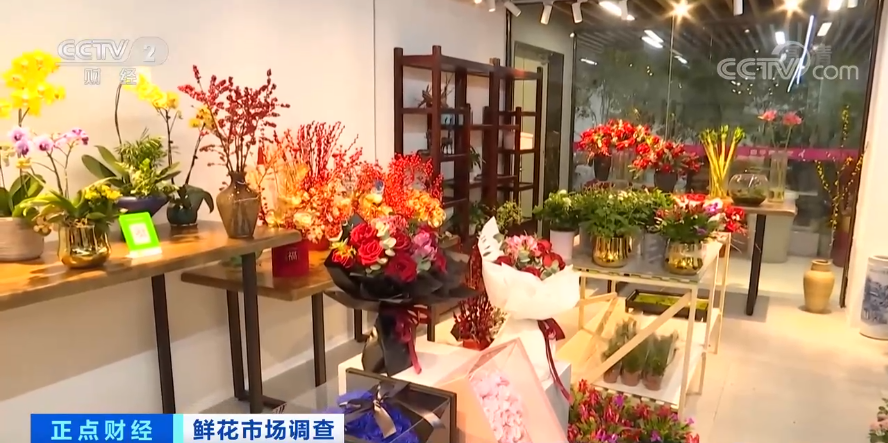 花苗的批发价