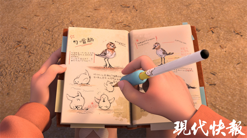 4d动画短片《不是菜鸟的盐小勺》带你历险黄海湿地