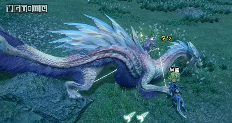 丸鸟的金蛋怎么拿回去