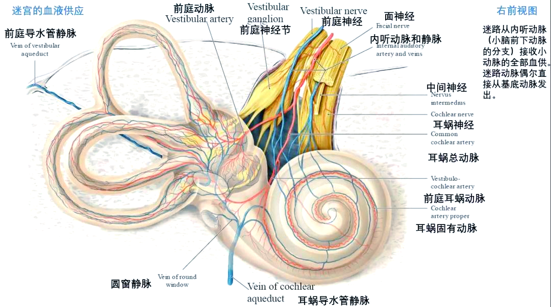 服务显真情,医患共谱爱曲