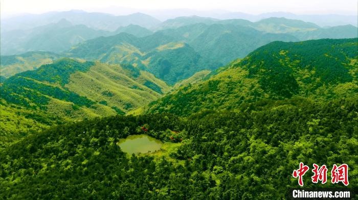 共富路上的浙江磐安:大盘山脉绵延共享观