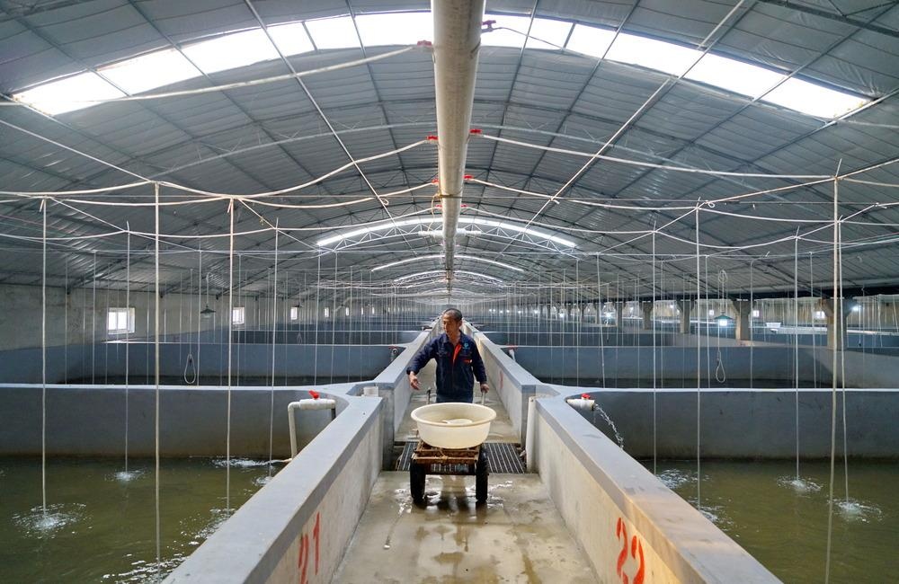 水产- 热门厂家专区