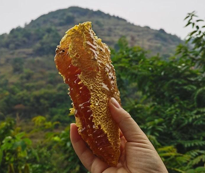 蜂蜜放了三年还能吃吗(蜂蜜放了三年还能吃吗?) 蜂蜜放了三年还能吃吗(蜂蜜放了三年还能吃吗?)