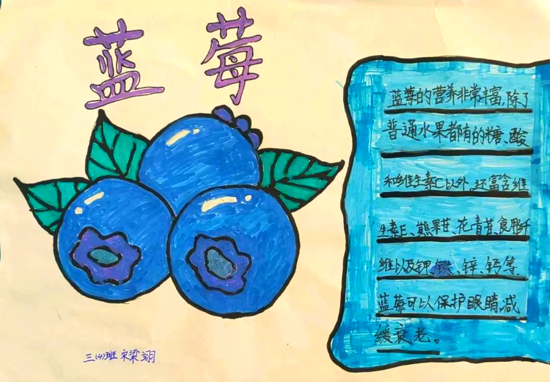 漯河育才小学三年级开展水果卡片制作活动,感受秋日丰收与多彩果实