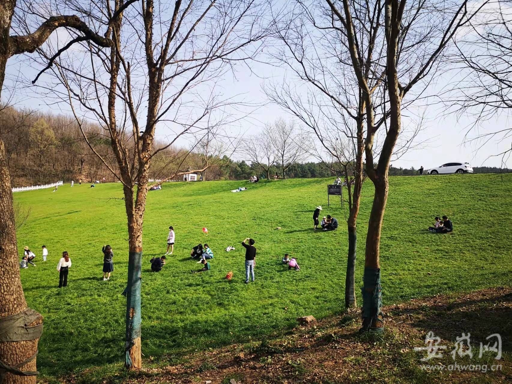 合肥:天气放晴 市民踏青出游