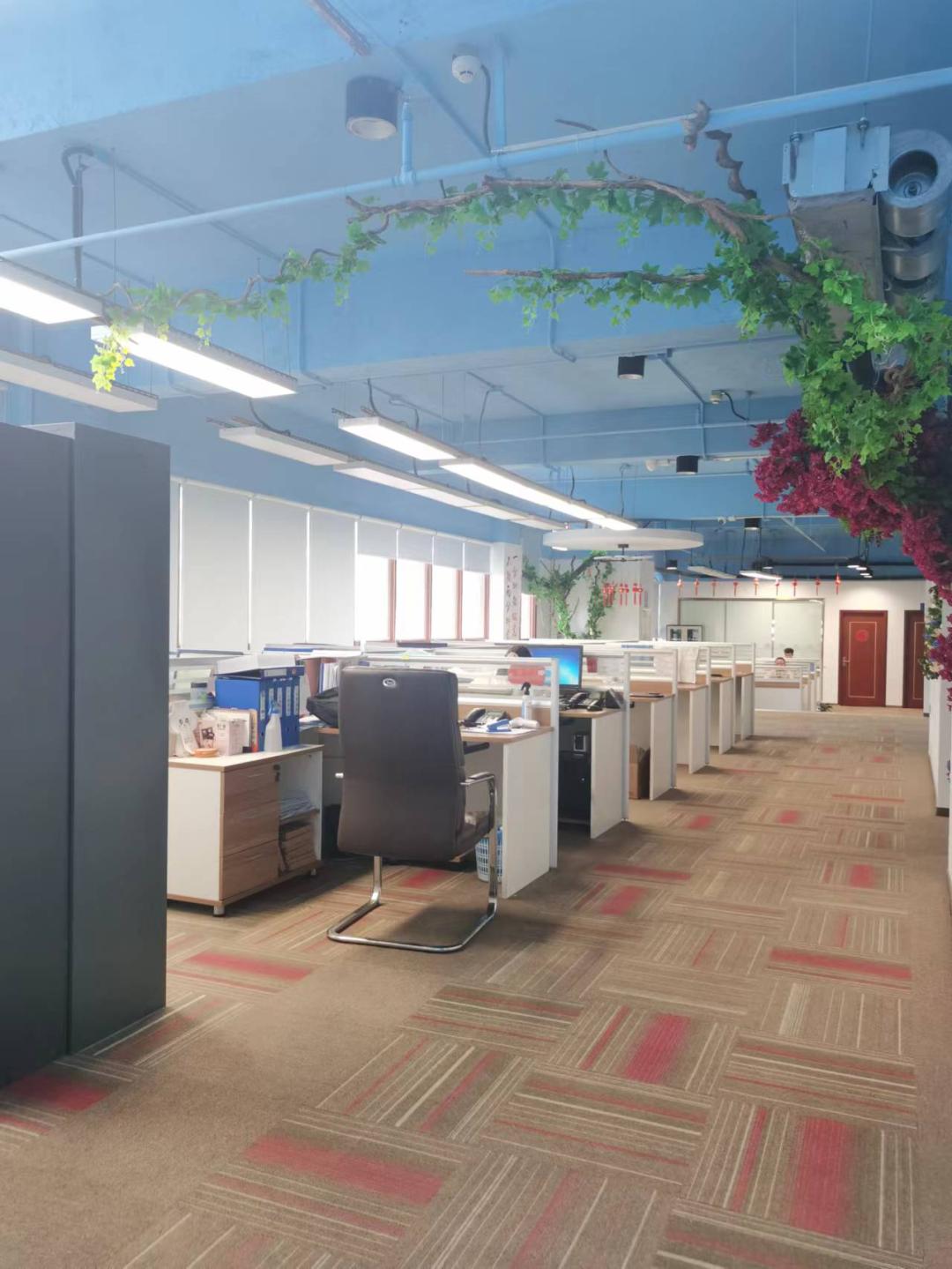 海南三亚陈有东等人黑社会性质组织涉案财产将拍卖