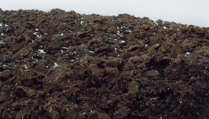 育苗土的正确使用方法