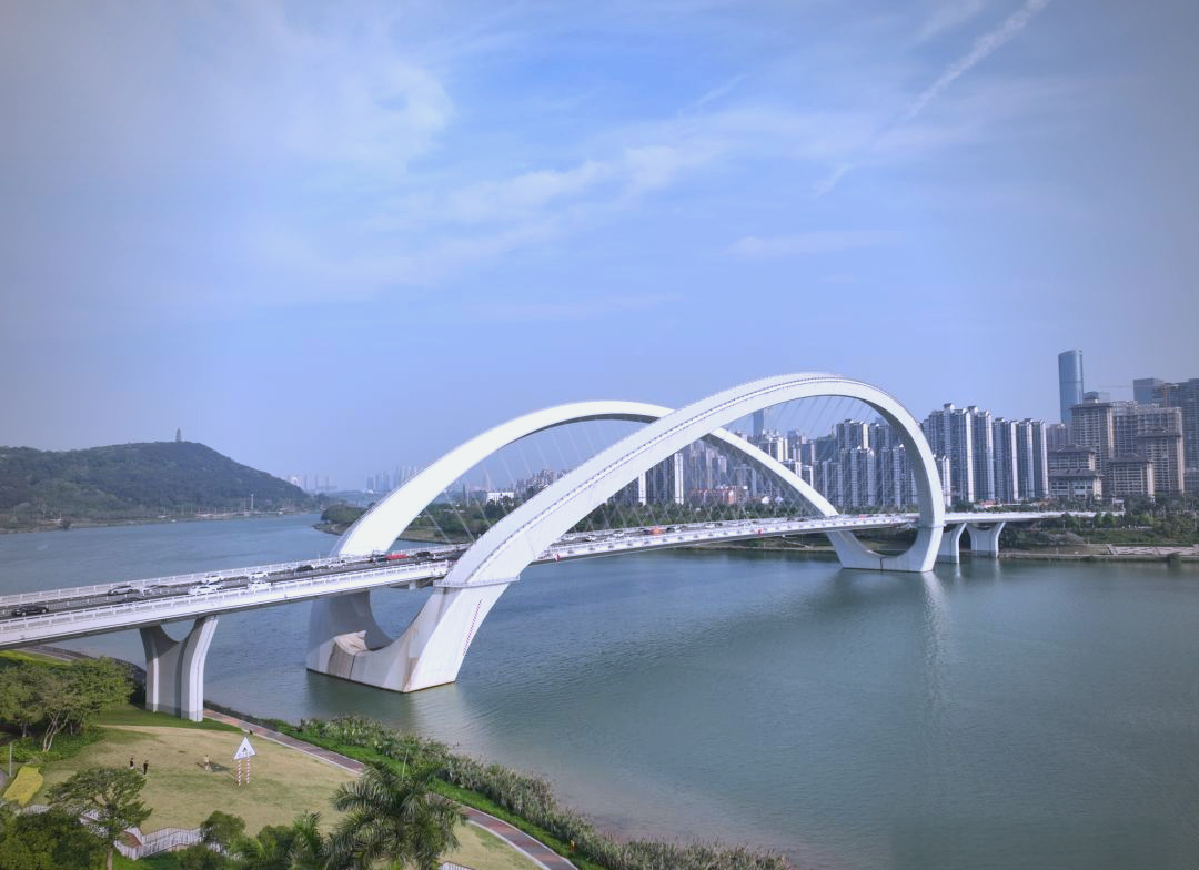 南宁大桥:浪漫还是堵车?网友讨论热议