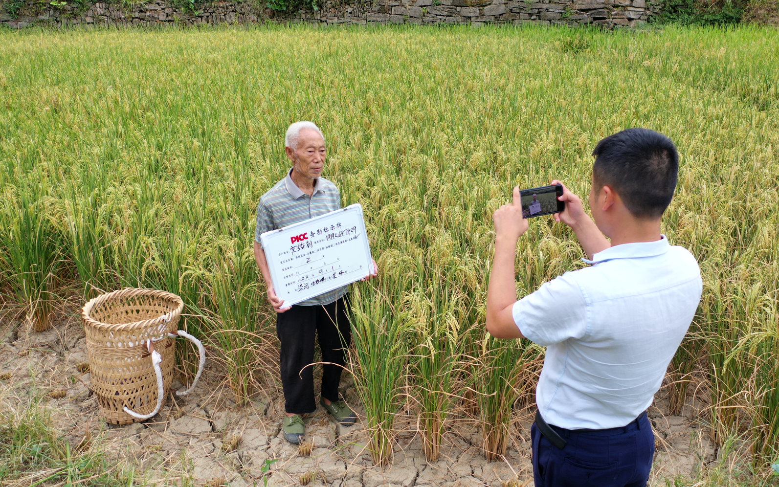 沿河:迅速启动农业保险理赔 降低农户受灾损失