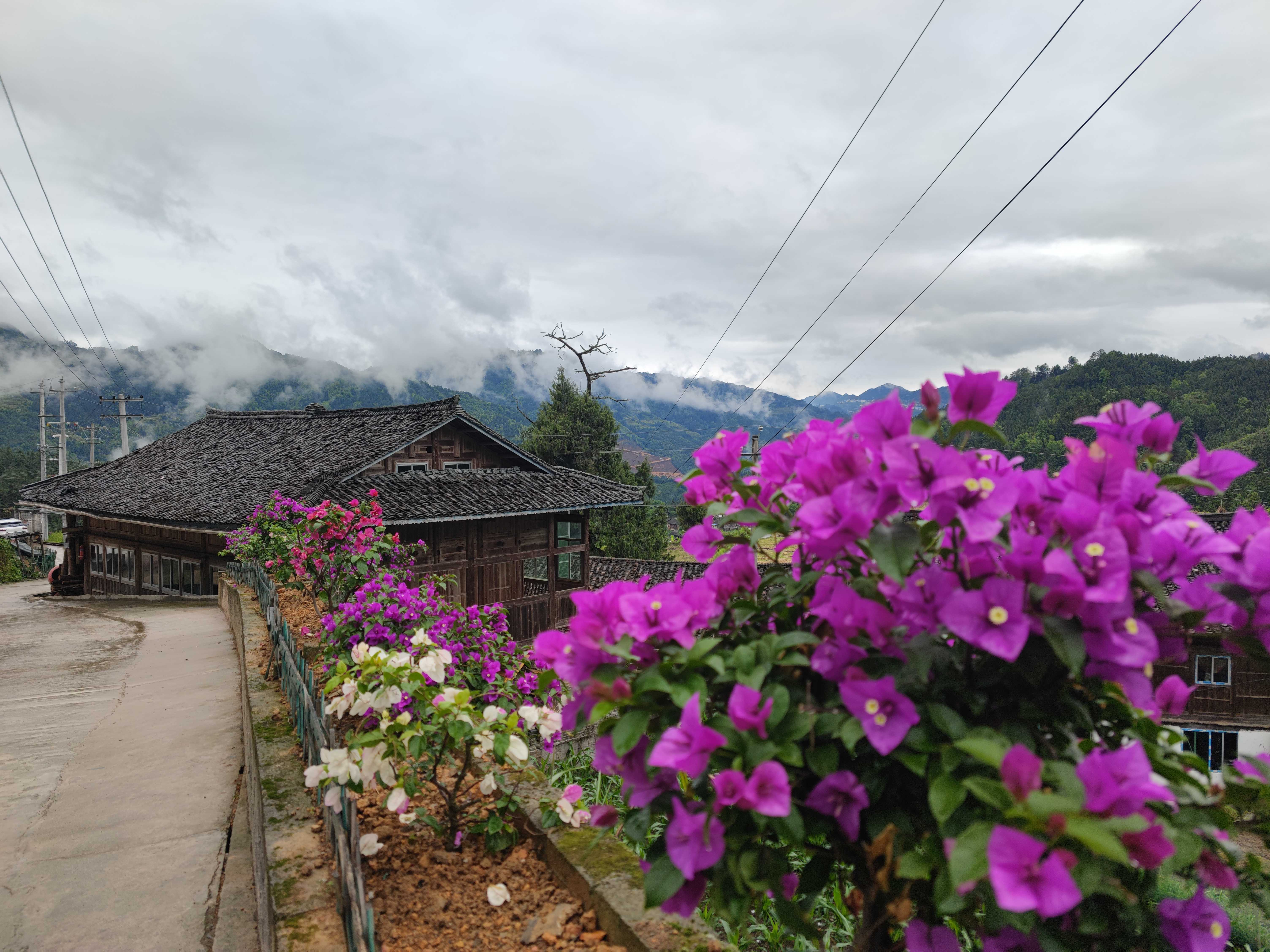 和美城乡 四大行动|丹寨县雅灰乡:聚焦"四度"扎实推进和美城乡"四大