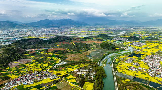 無人機高空拍攝,漢中勉縣這三個地方的油菜花美爆了,你去過嗎?